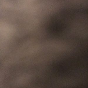 Meet your Posher, Rawley